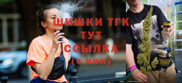соль ск Медвежьегорск