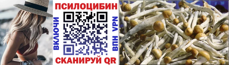 Псилоцибиновые грибы Psilocybe  где продают   KRAKEN ТОР  Нефтегорск 