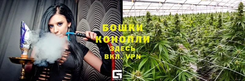 Бошки Шишки Bruce Banner  Нефтегорск 