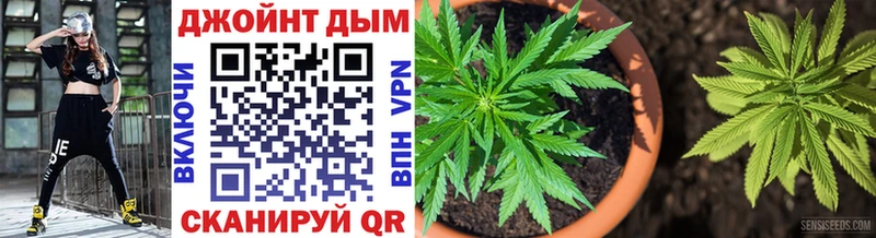 Бошки Шишки Amnesia  Нефтегорск 